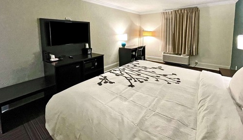 Suite, 1 cama de matrimonio grande con sofá cama
