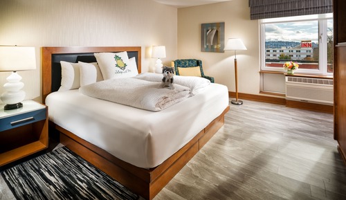 Estudio, 1 cama de matrimonio grande