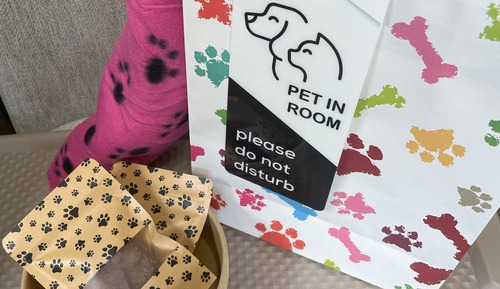 Pet Friendly Double Queen Room