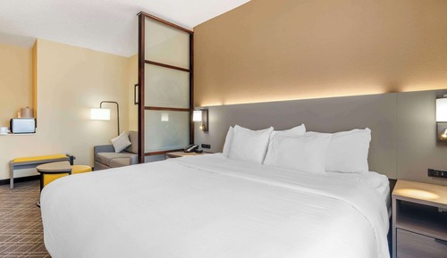 Suite, 1 cama de matrimonio grande, no fumadores