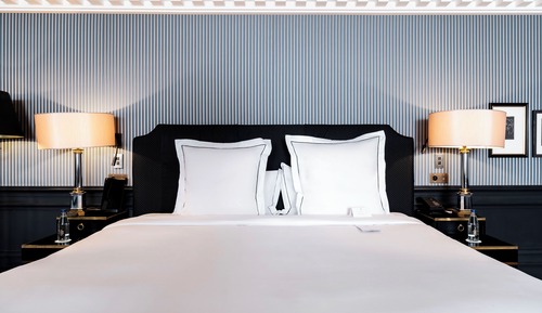 Suite, 1 cama de matrimonio grande con sofá cama