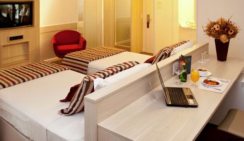 Habitación clásica, 1 cama de matrimonio