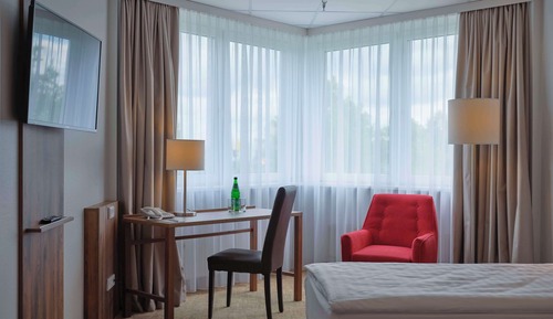 Habitación Business, 1 cama doble (Converts to 2 Twin Beds)