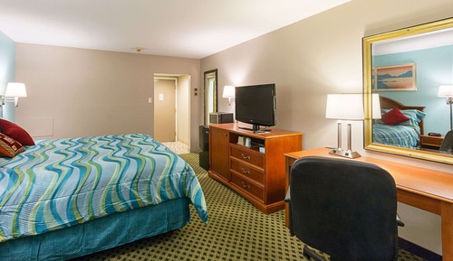 Habitación estándar, 1 cama de matrimonio grande, no fumadores