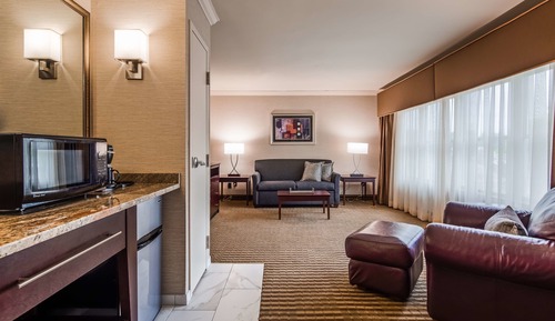 Suite, 1 cama de matrimonio grande, no fumadores, frigorífico y microondas (Larger Room)