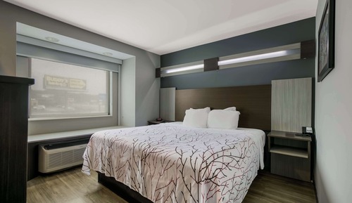 Habitación estándar, 1 cama de matrimonio grande, no fumadores, frigorífico y microondas