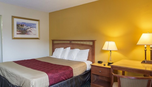 Habitación estándar, 1 cama de matrimonio grande, no fumadores