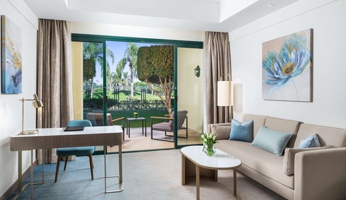Habitación ejecutiva, 2 camas individuales (Premier)