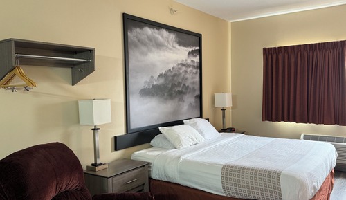 Habitación estándar, 1 cama de matrimonio grande