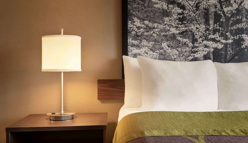 Suite estudio, varias camas, fumadores