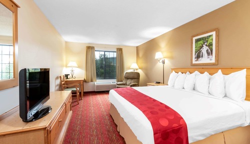 Habitación estándar, 1 cama de matrimonio grande