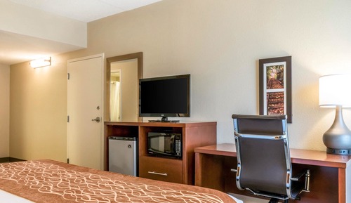 Habitación estándar, 1 cama de matrimonio grande, no fumadores