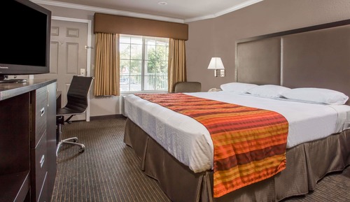 Habitación estándar, 1 cama de matrimonio grande