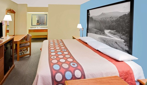 Habitación estándar, 1 cama de matrimonio grande