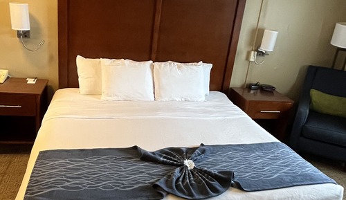 Habitación estándar, 1 cama de matrimonio grande, no fumadores