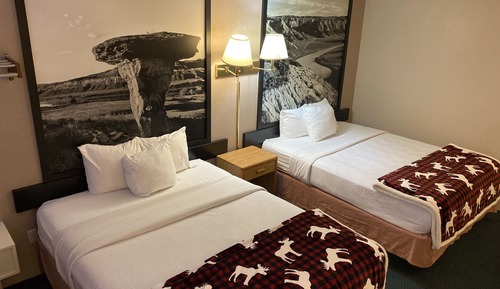 Habitación estándar, 2 camas de matrimonio, no fumadores (Pet Room)