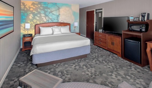 Habitación, 1 cama de matrimonio grande con sofá cama