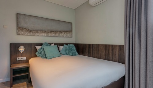 Habitación estándar, 1 cama doble