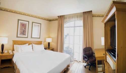 Habitación estándar, 1 cama de matrimonio grande, accesible para personas con discapacidad