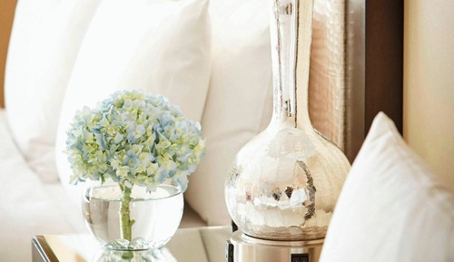 Suite, 1 cama de matrimonio grande con sofá cama