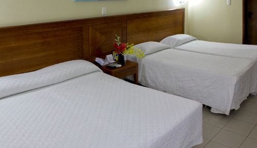 Habitación estándar, vistas al jardín
