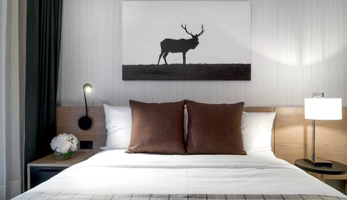 Suite Deluxe, 2 habitaciones