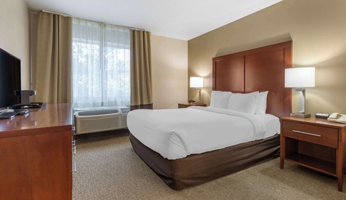 Suite, 1 cama de matrimonio grande, no fumadores