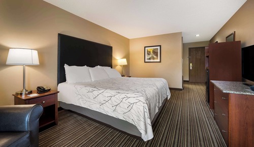 Habitación estándar, 1 cama de matrimonio grande, no fumadores, frigorífico y microondas