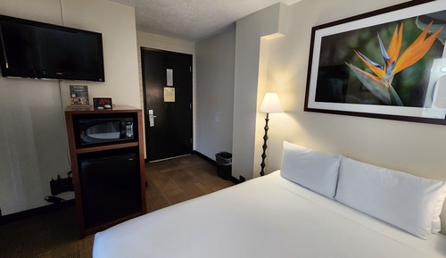 Boutique Queen Room