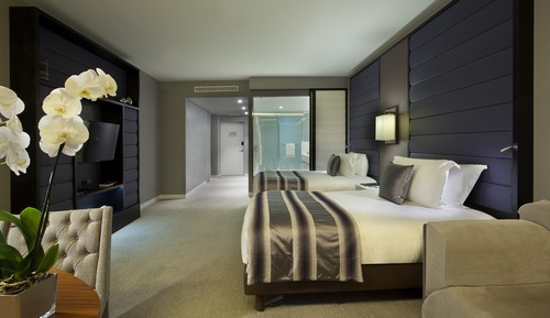 Habitación clásica, 2 camas individuales, accesible para personas con discapacidad, vistas al jardín
