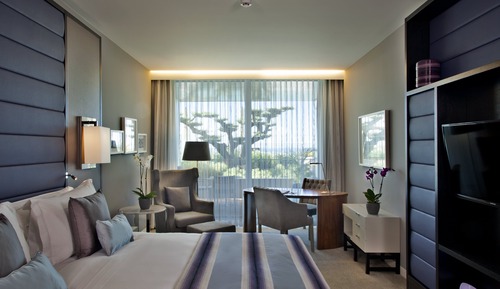 Habitación, 1 cama de matrimonio grande, vistas al jardín (Cosy)