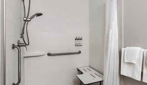 Habitación estándar, 1 cama de matrimonio grande (Mobility, Roll-In Shower)
