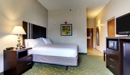 Suite, 1 cama de matrimonio grande (Mobility, Roll-In Shower)