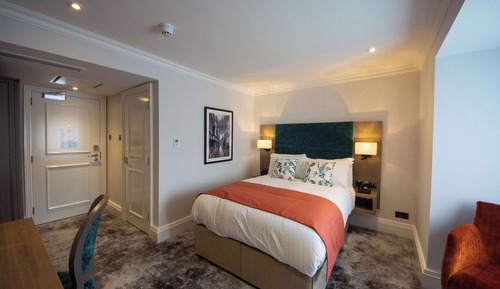 Habitación estándar, 1 cama doble, no fumadores