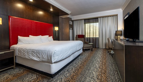 Deluxe Nature View King Non-Smoking