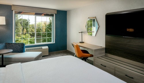 Suite, 1 cama de matrimonio grande con sofá cama