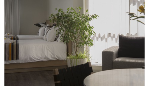 Habitación de lujo, 2 camas de matrimonio