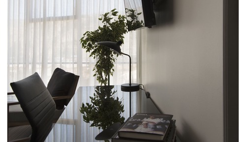 Suite, 2 habitaciones