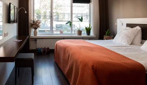 Habitación doble superior, 1 cama de matrimonio