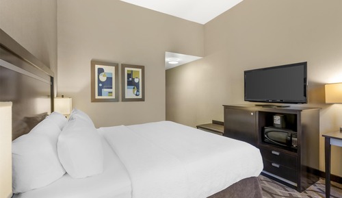 Habitación estándar, 1 cama de matrimonio grande, accesible para personas con discapacidad