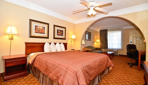 Suite estándar, 1 cama de matrimonio grande, no fumadores, bañera de hidromasaje