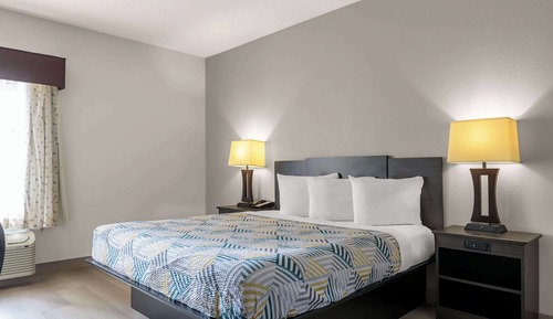 Habitación estándar, 1 cama de matrimonio grande, accesible para personas con discapacidad