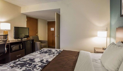 Habitación estándar, 1 cama de matrimonio grande, accesible para personas con discapacidad