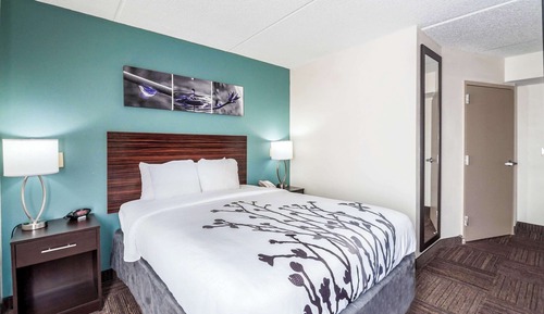 Habitación, 1 cama de matrimonio, accesible para personas con discapacidad, no fumadores