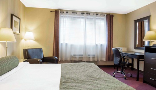 Habitación estándar, 1 cama de matrimonio, no fumadores