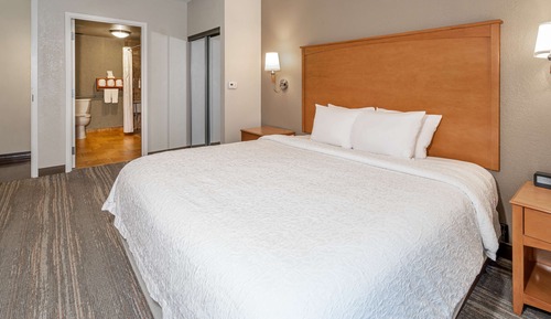 ADA Accessible, Room, 1 King Bed, Accessible (Hearing)