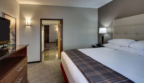 Suite, 1 cama de matrimonio grande con sofá cama, frigorífico y microondas (2 rooms)