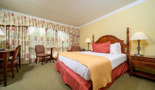 Habitación estándar, 1 cama de matrimonio grande