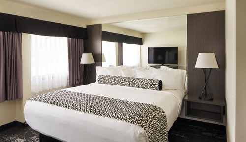 Suite ejecutiva, 1 cama de matrimonio grande