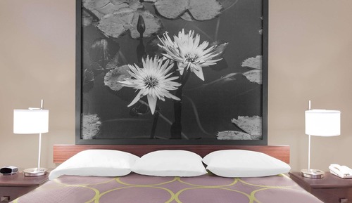 Habitación, 1 cama de matrimonio grande